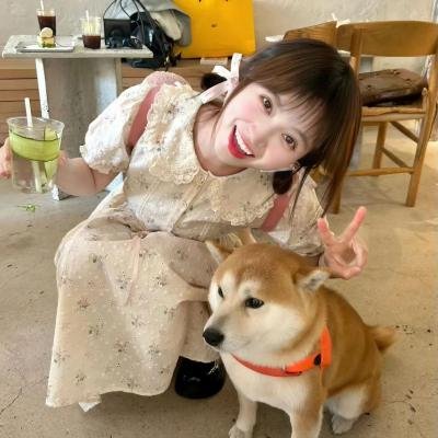 回忆积木小屋